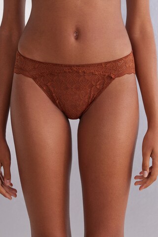 INTIMISSIMI Panty in Brown: front