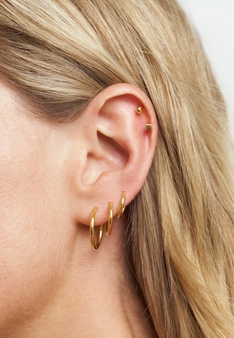 Stilnest Earrings in Gold: front