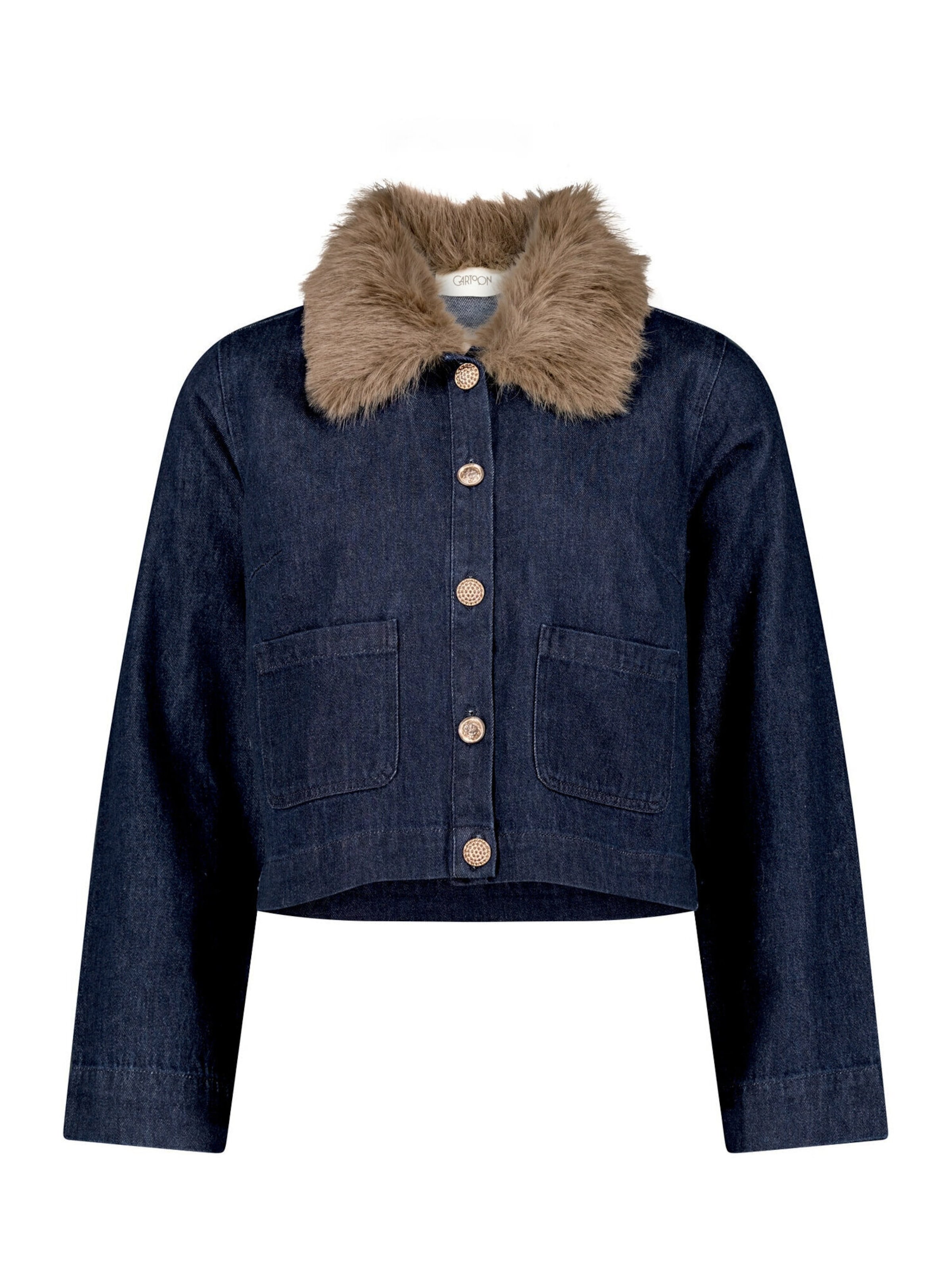 Cartoon Blazer in 34 in Blue, Item view