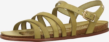 Fred de la BretoniÈre Sandalen met riem in Groen: voorkant