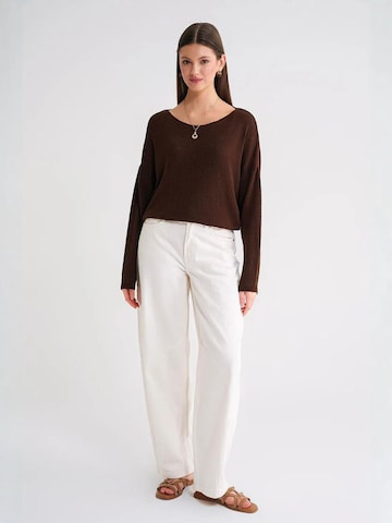 Pullover 'Pullover' di MixRay in marrone