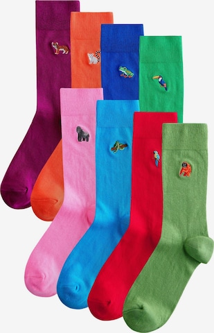 Chaussettes Next en bleu : devant