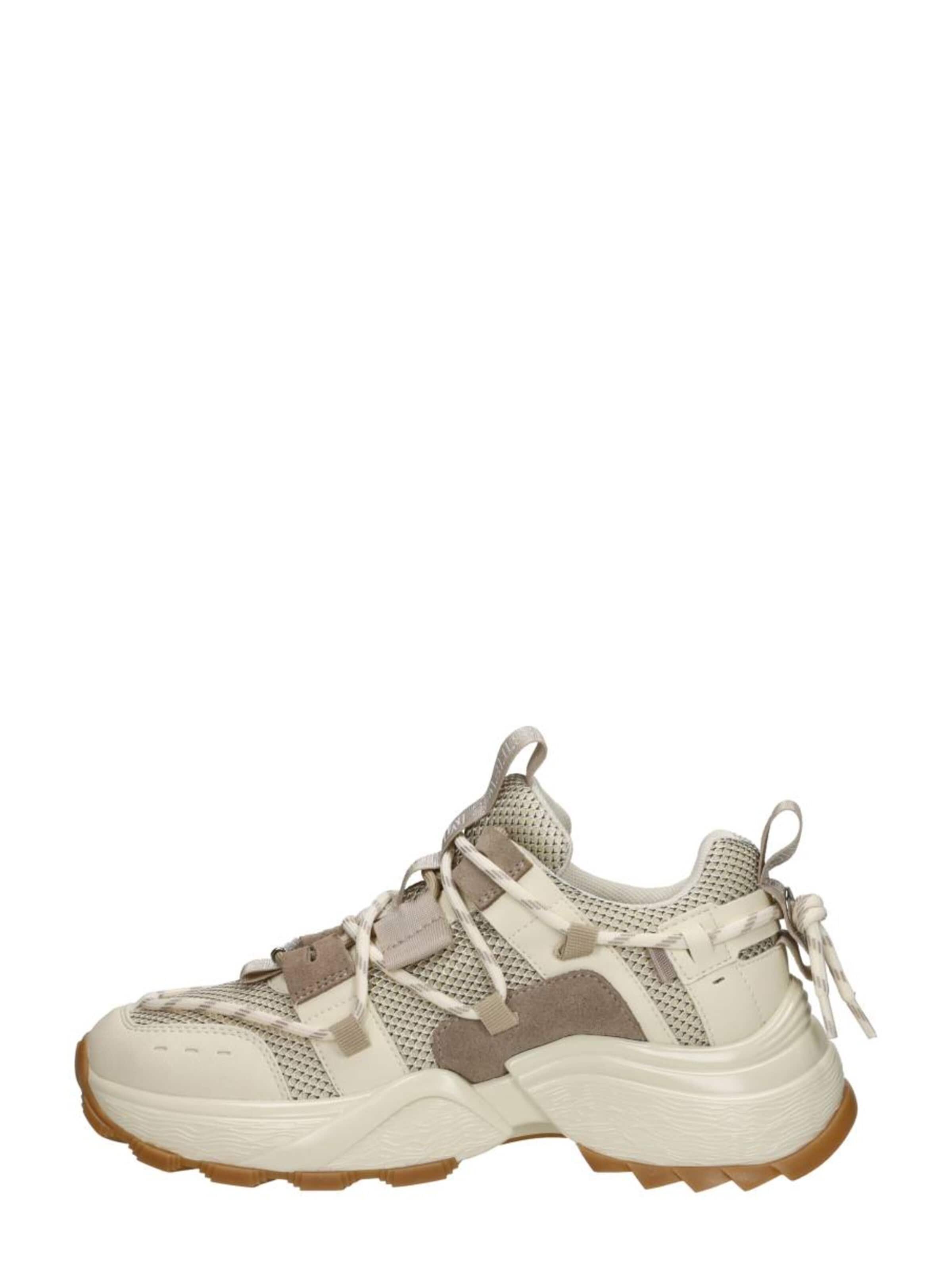 STEVE MADDEN Sneakers 'Tazmania' in Beige: front