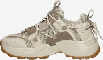 Baskets basses 'Tazmania' STEVE MADDEN en beige : devant