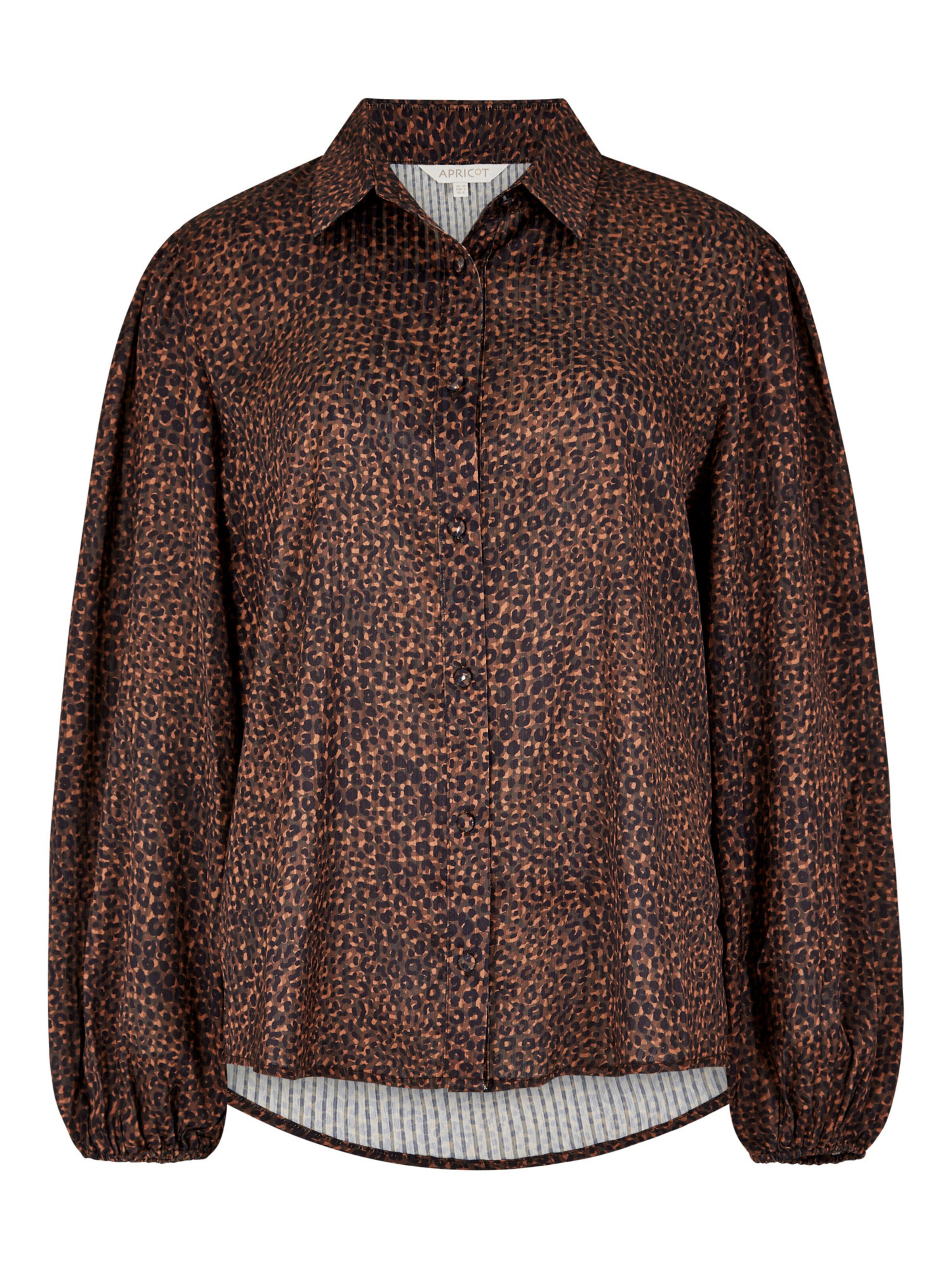 Chemisier Apricot en marron : devant