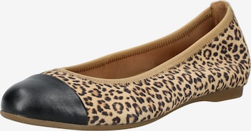 Ballerina di GABOR in beige: frontale