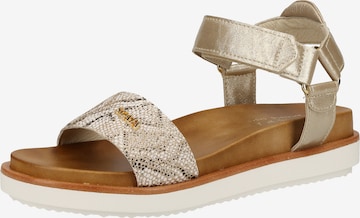 SCAPA Strap Sandals in Gold: front