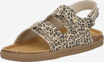 TOMMY HILFIGER Sandaalit värissä beige: etupuoli