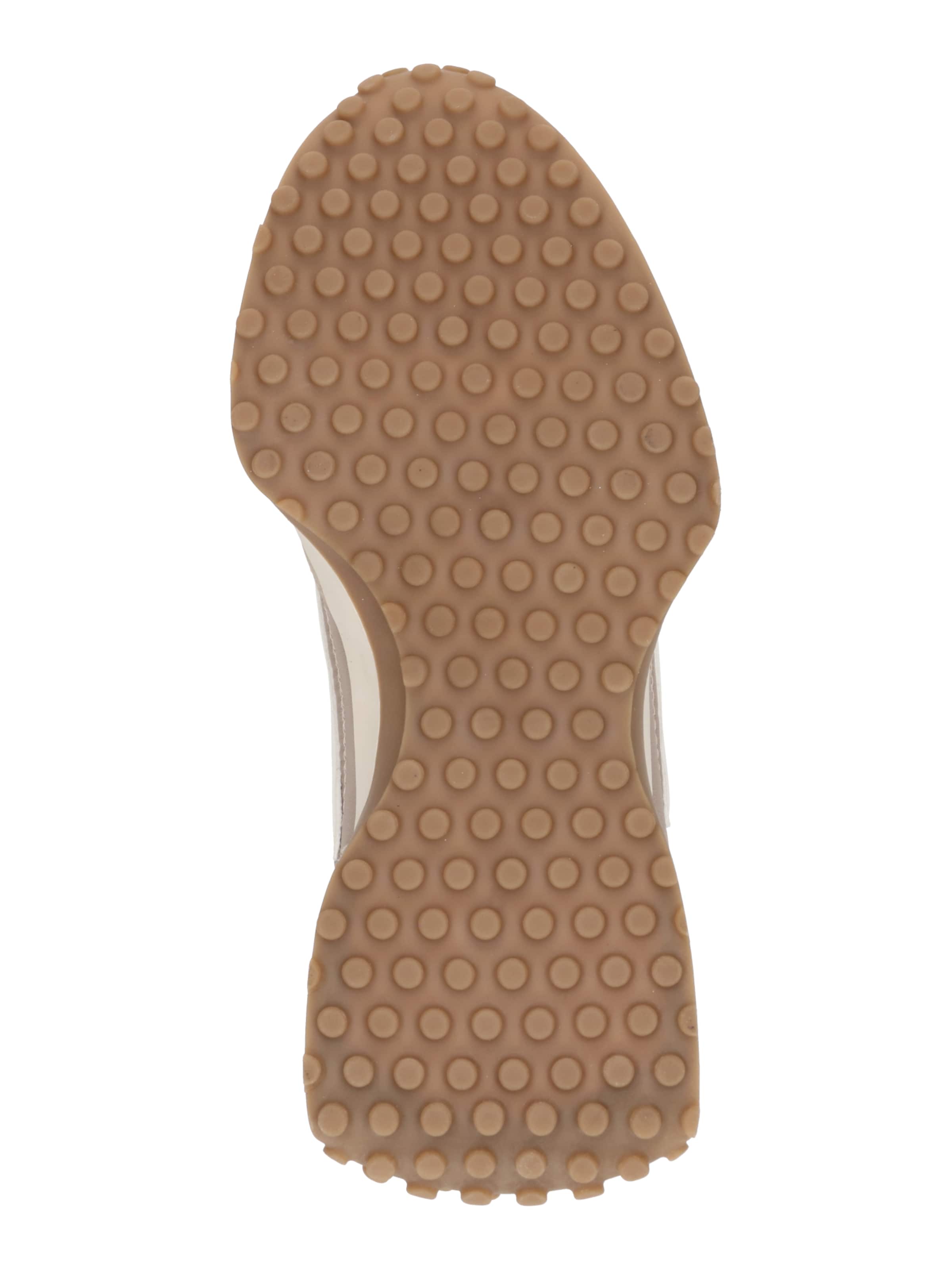 STEVE MADDEN Madalad ketsid 'Dasherr', värv hall: alt vaates