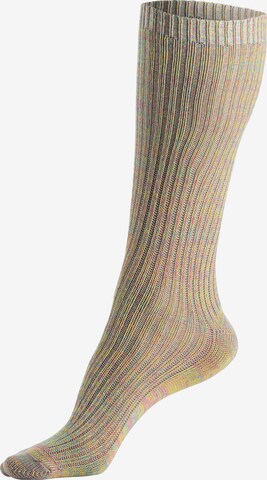 LASCANA Socks in Mixed colors