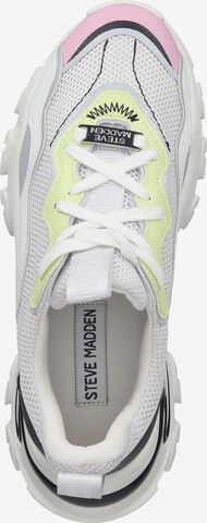 STEVE MADDEN Sneakers laag in Wit