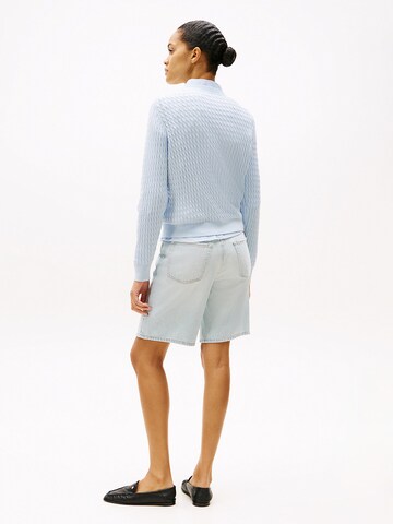 TOMMY HILFIGER Trui in Blauw