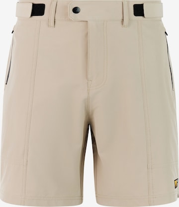 PROTEST Pants 'PRTBarwick' in Brown: front