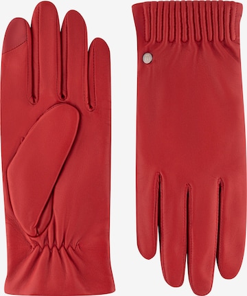 Gants 'ARIZONA TOUCH' Roeckl en rose : devant