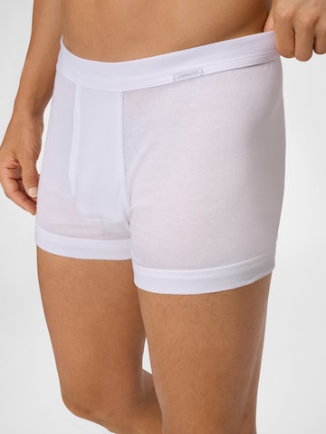 Ammann Boxer shorts ' Organic Feinripp ' in White