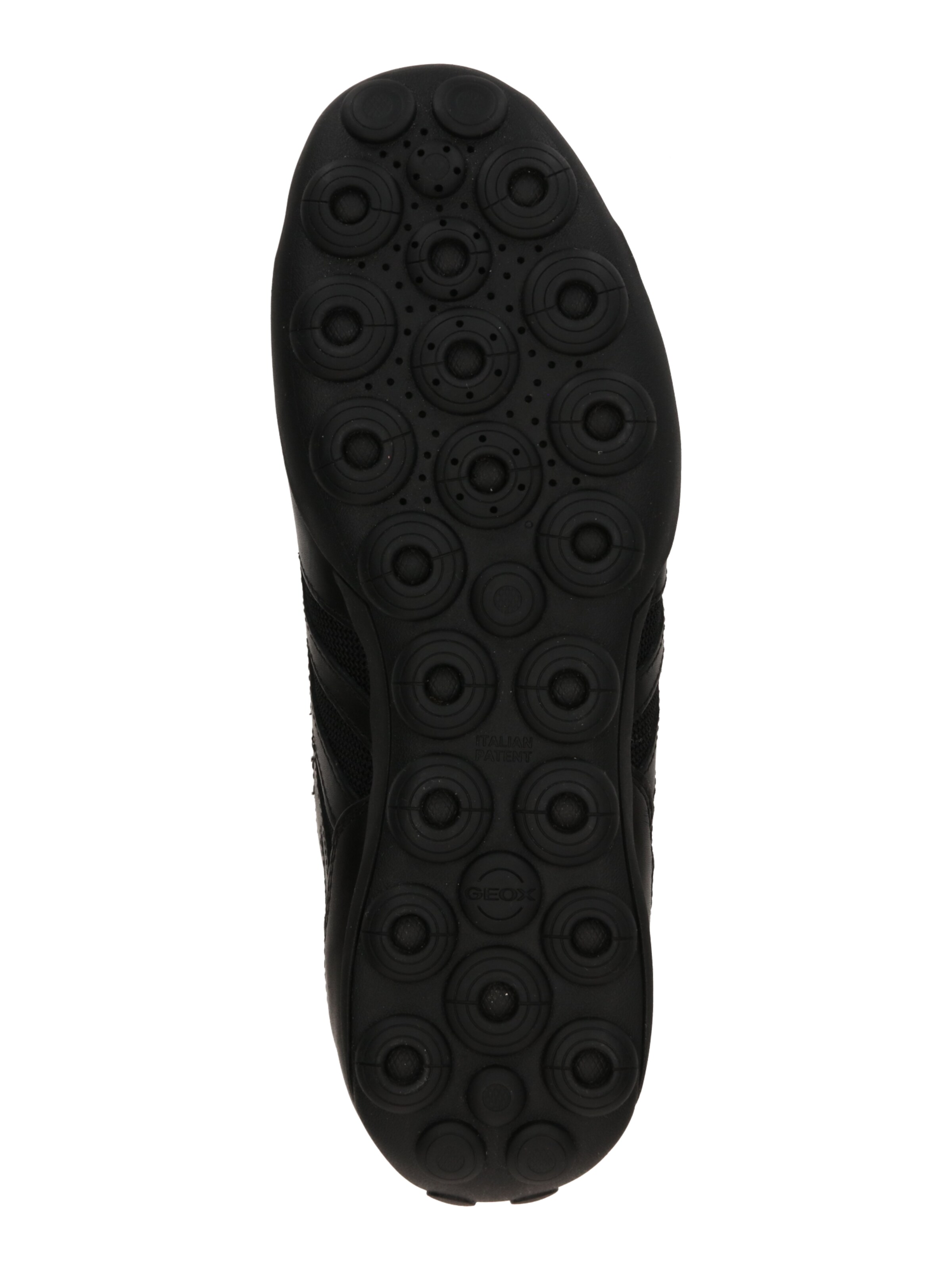 Baskets basses 'Snake 2.0 A' GEOX en noir