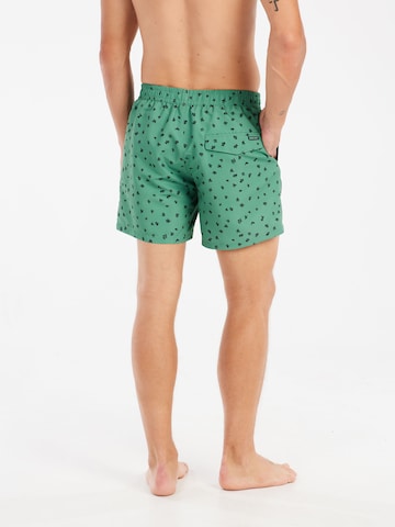PROTEST Board Shorts 'PRTJuan' in Green