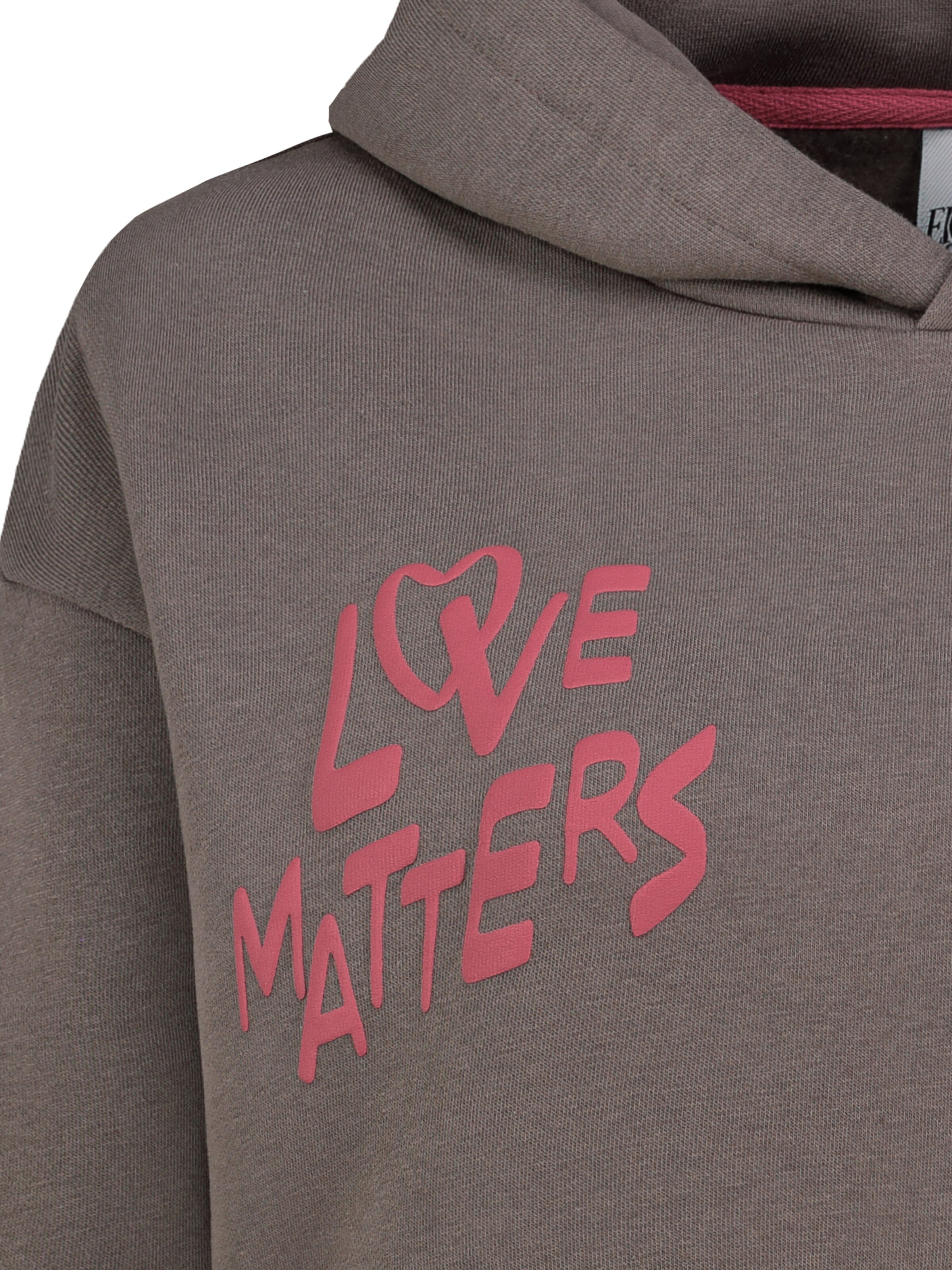 Eight2Nine Sweatshirt in Bruin