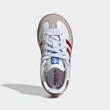 ADIDAS ORIGINALS Sneaker in Weiß