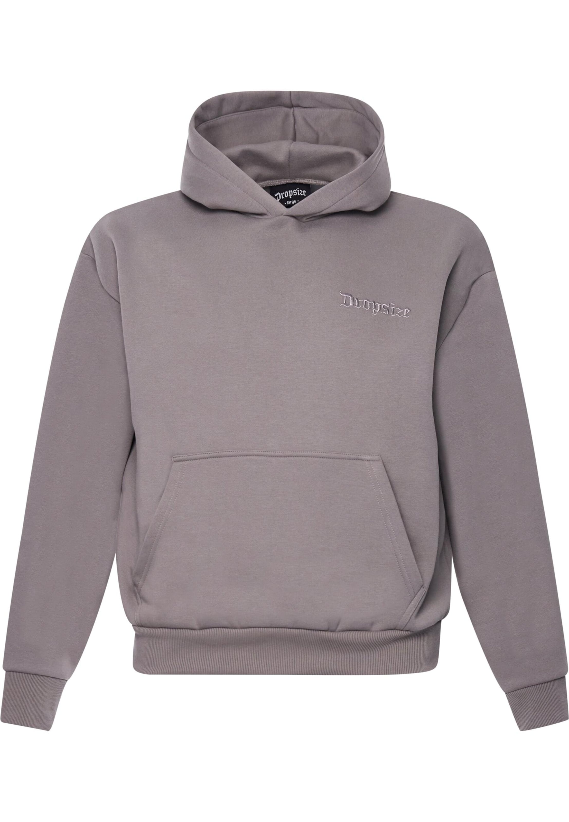Dropsize Sweatshirt in Grey: front