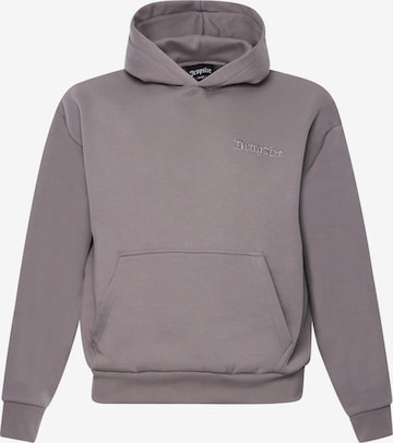 Dropsize Sweatshirt in Grau: Vorderseite