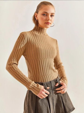Bianco Lucci Sweater in Brown