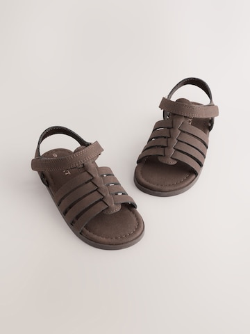 Sandalo di Next in marrone
