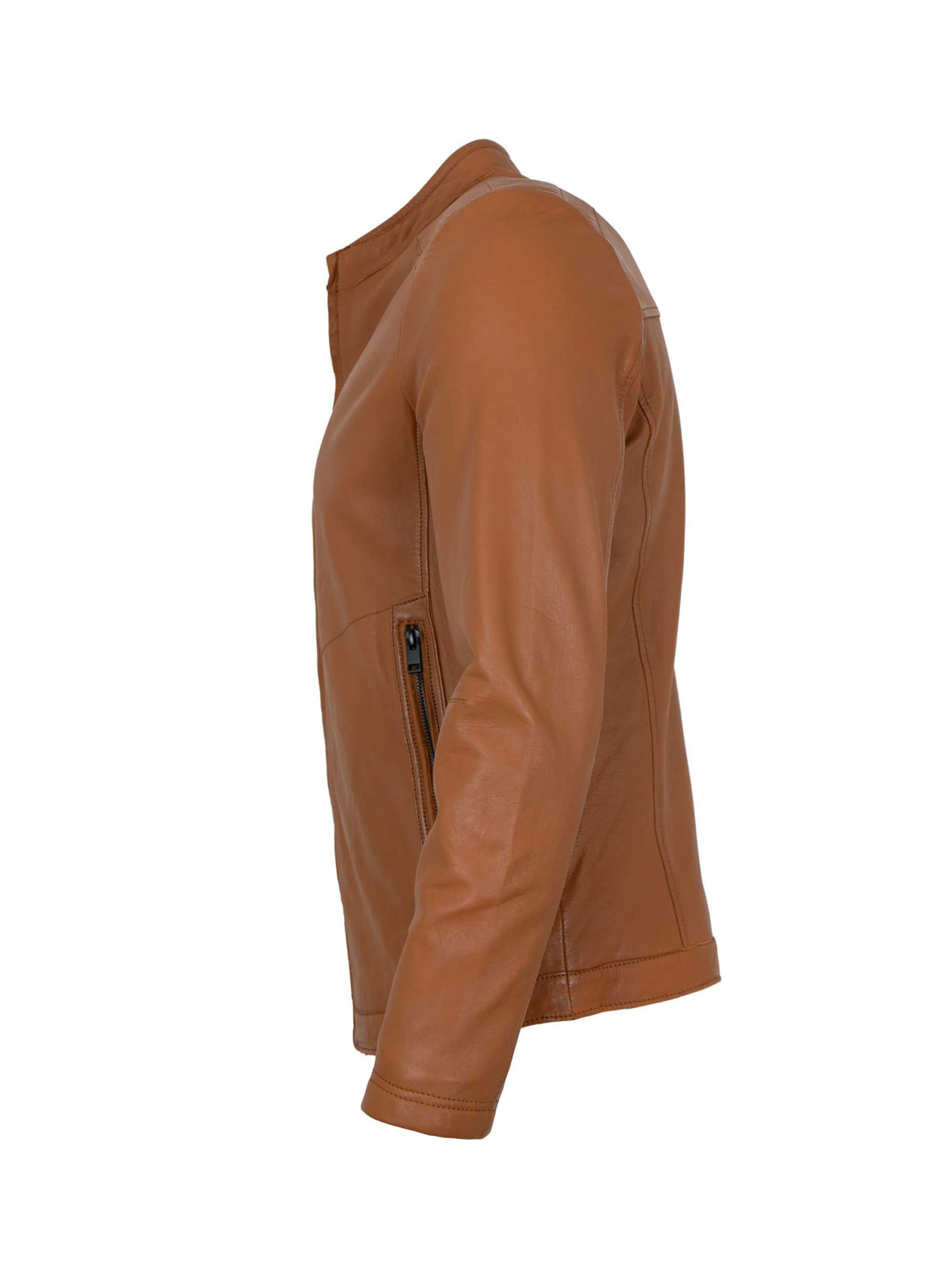 Jilani Tussenjas 'Saverio-3' in Bruin