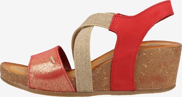 IGI&CO Sandalen met riem in Gemengde kleuren