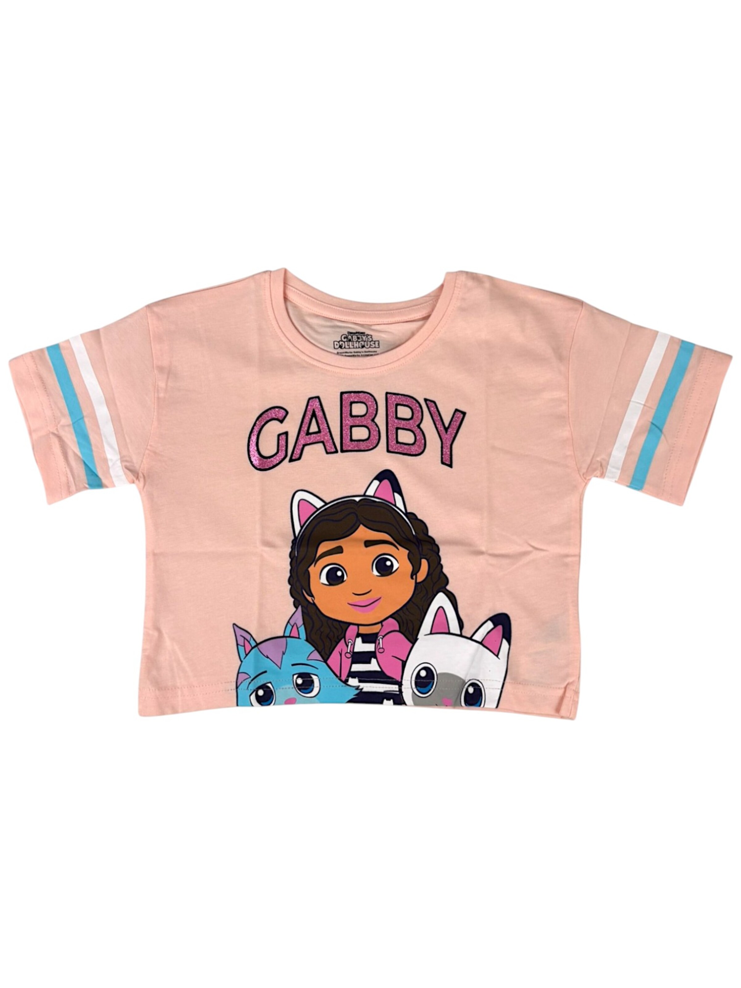 Gabby's Dollhouse Shirt 'Gabby´s Dollhouse Crop Top' in Pink: front