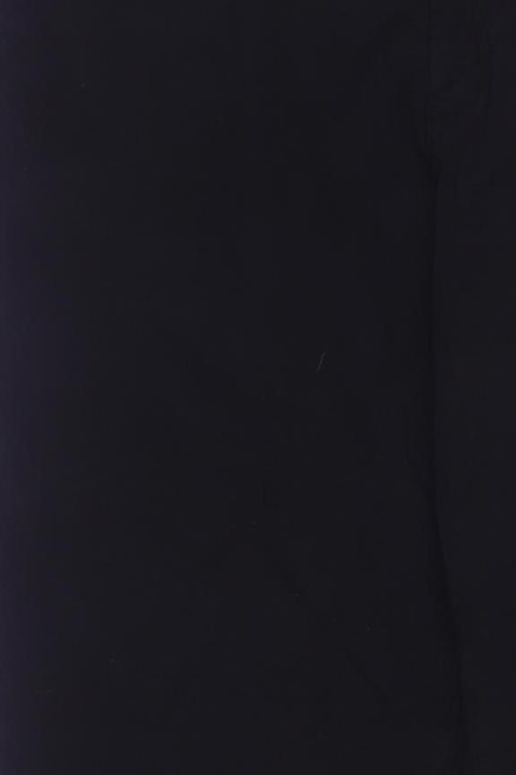 Adriano Goldschmied Pants in 12XL in Black