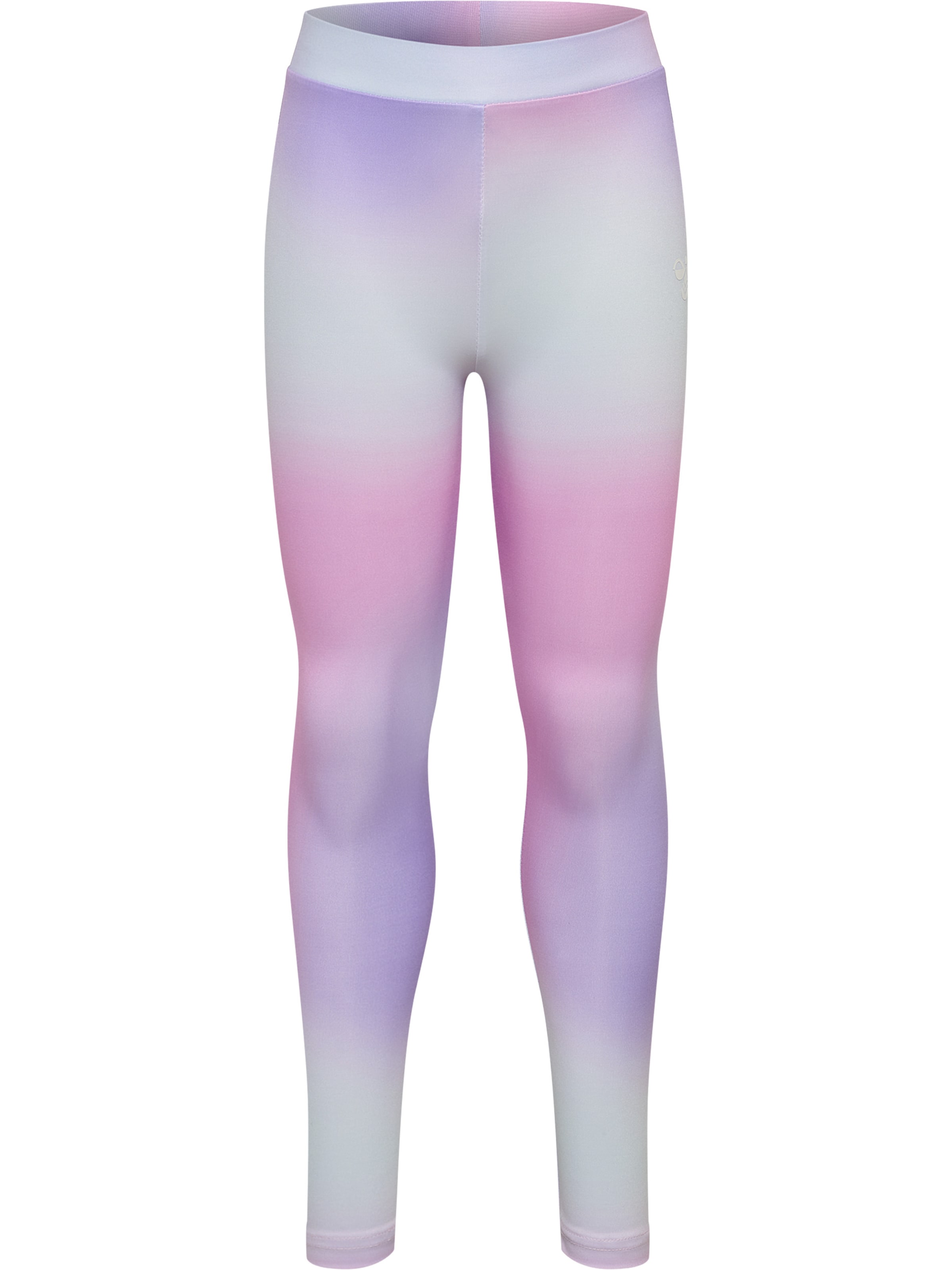 Hummel Workout Pants in Mixed colors: front