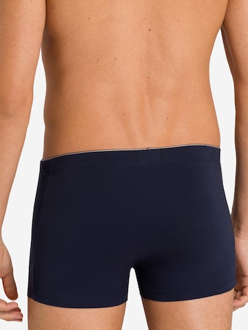Hanro Boxershorts 'Cotton Superior'‌‌‌‌‌‌ in Blau