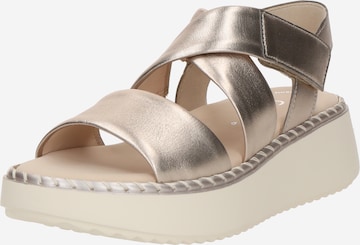 GABOR Sandale in Gold: Vorderseite