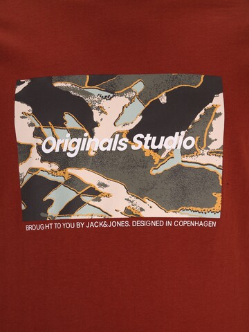 Jack & Jones Plus T-Shirt 'JORVESTERBRO NEWTON' in Braun