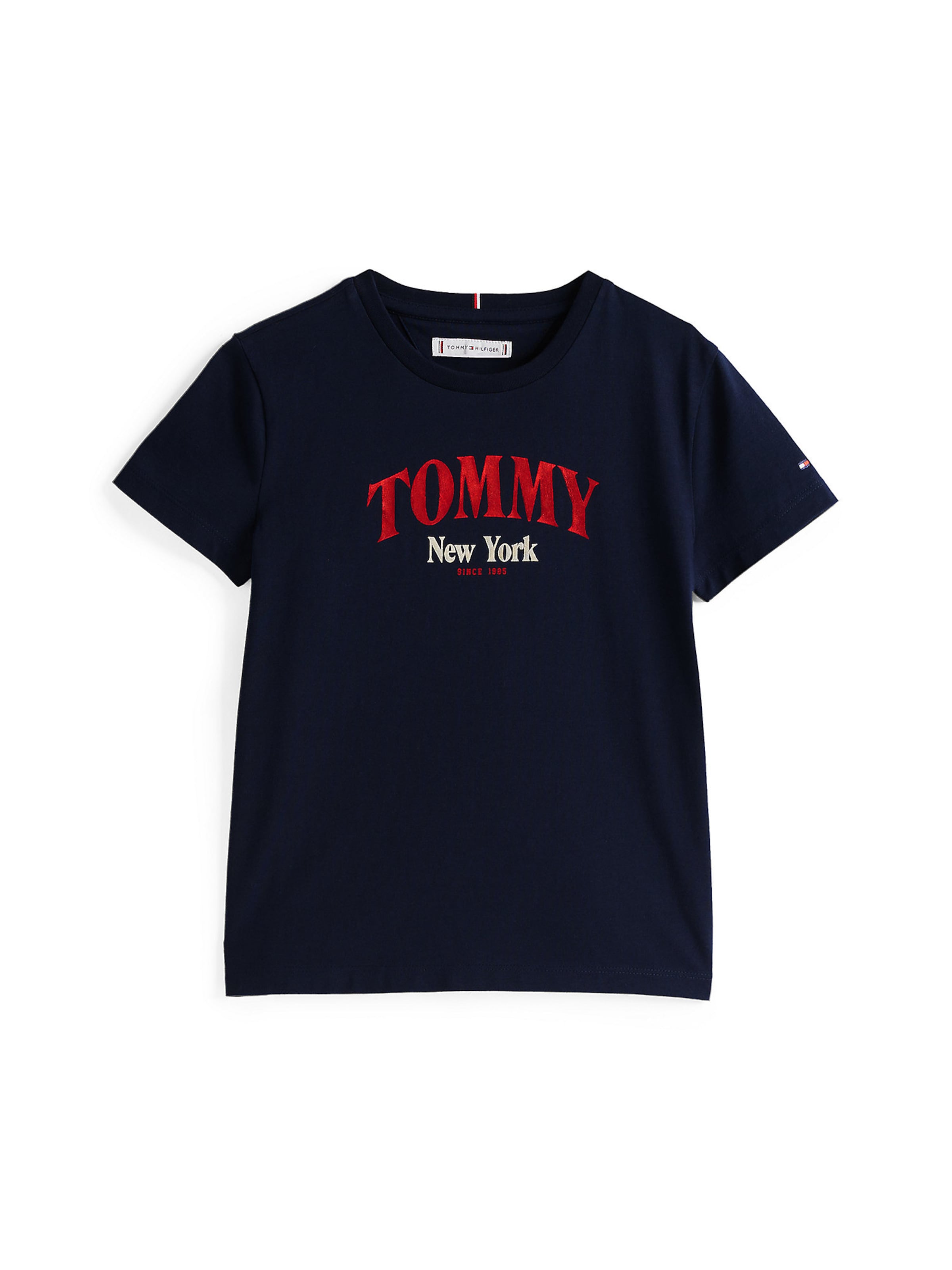 TOMMY HILFIGER T-Shirt in Blau: Vorderseite