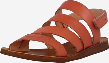 FELMINI Sandaalit 'Carolina' värissä ruskea: edessä