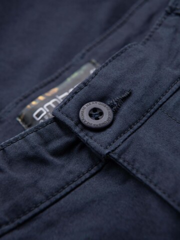 Ombre Regular Broek in Blauw