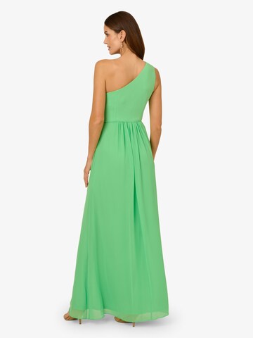 Adrianna Papell Langes Abendkleid in Grün