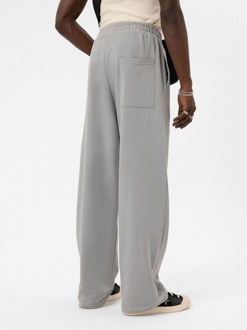 Loosefit Pantaloni di VAMOS CLO in grigio