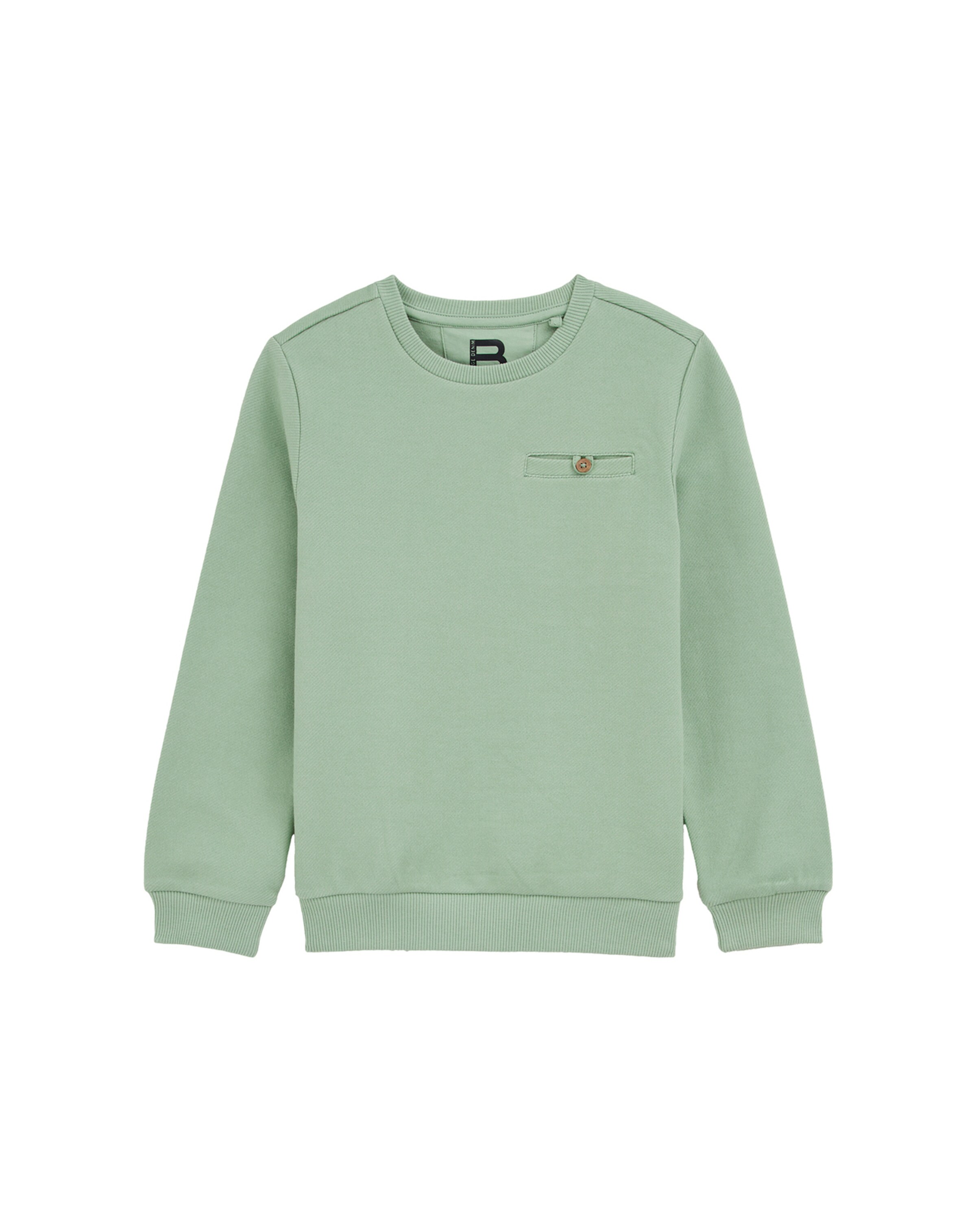 WE Fashion Sweatshirt in Green: front