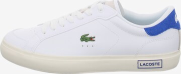 Baskets basses 'Powercourt' LACOSTE en blanc