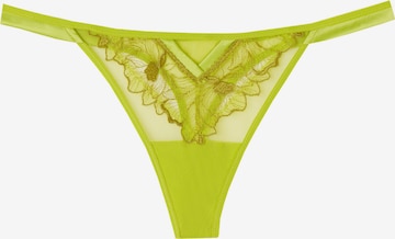INTIMISSIMI Thong 'SWEET LIKE SUGAR' in Green: front