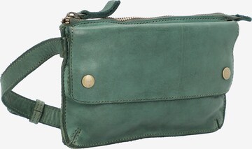 Harold's Fanny Pack in Green