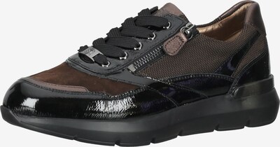 HASSIA Sneakers in Chocolate / Black, Item view