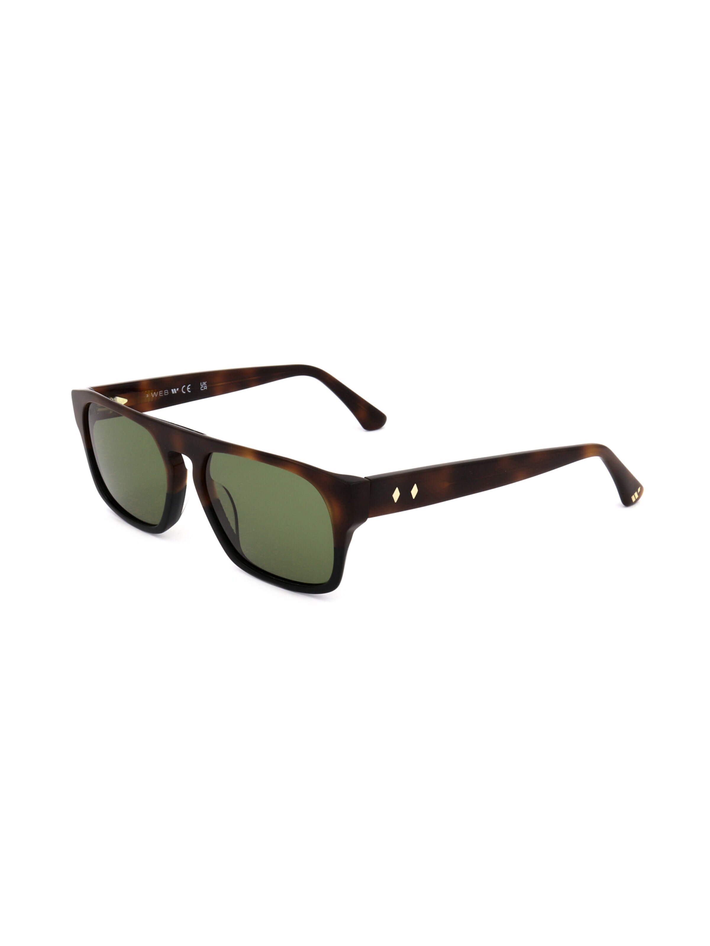 Occhiali da sole 'WE0359' di Web Eyewear in marrone: frontale