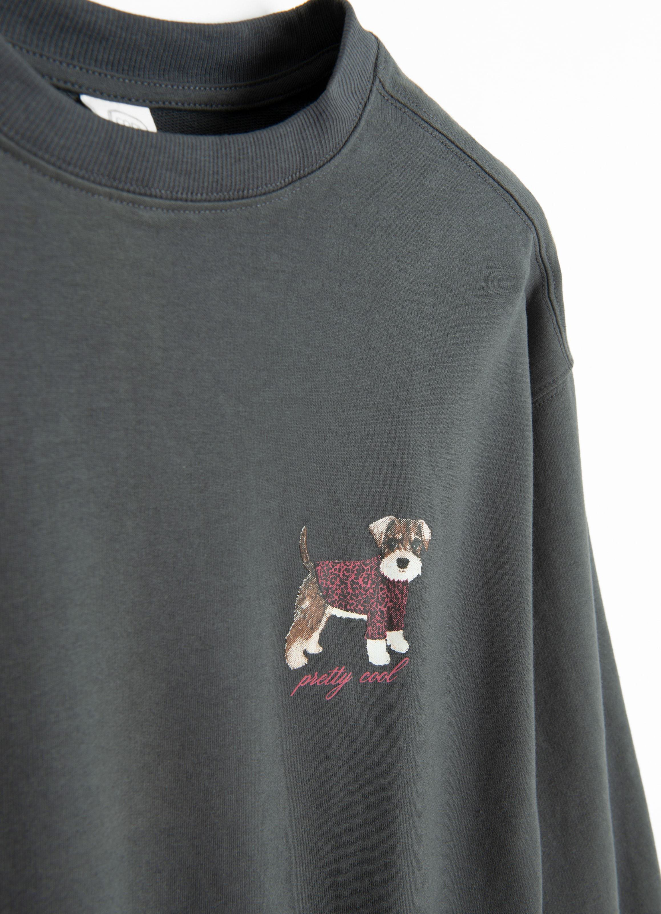 COOL CLUB by SMYK - Sudadera en negro