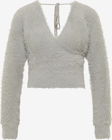 Pull-over faina en gris : devant