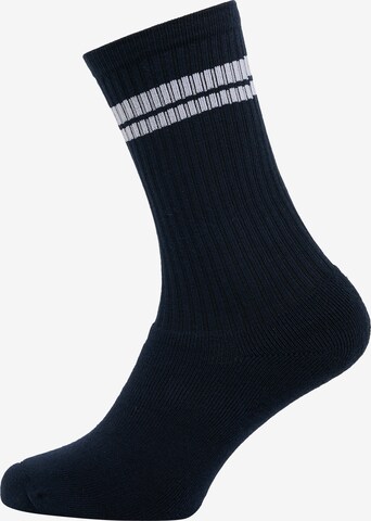 Mo SPORTS Socks 'Binji' in Blue