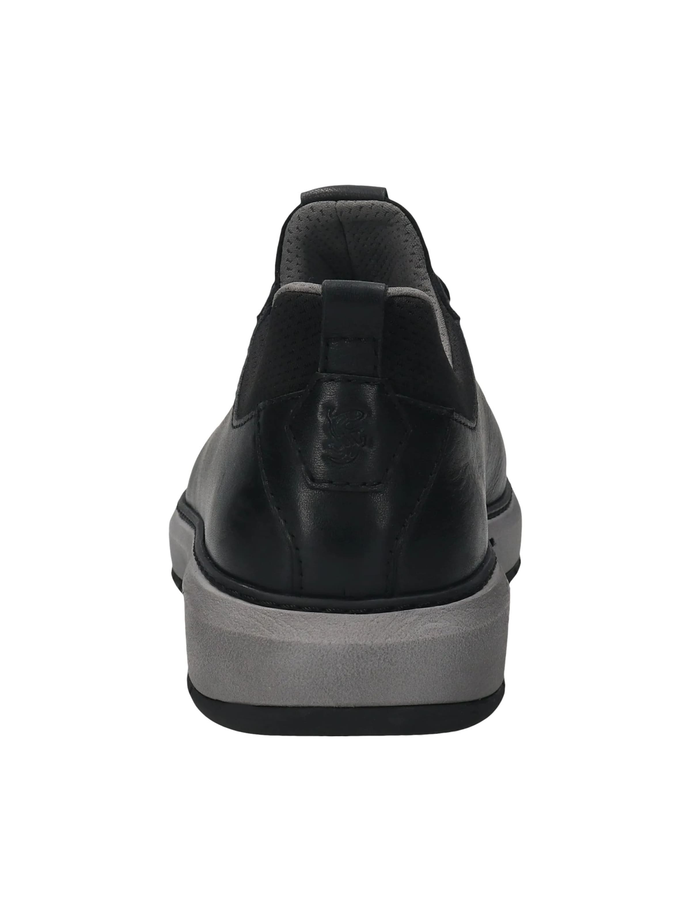 Baskets basses SALAMANDER en noir